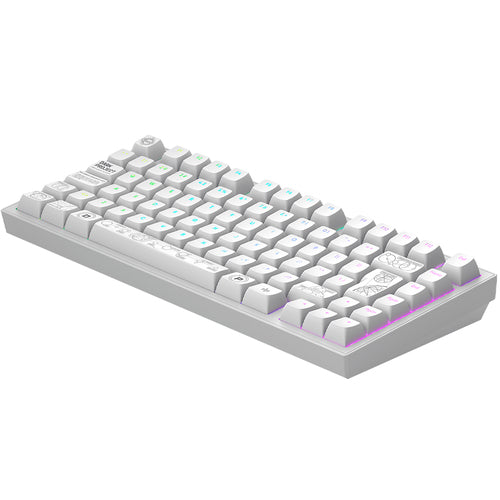 DARK PROJECT Terra Nova White