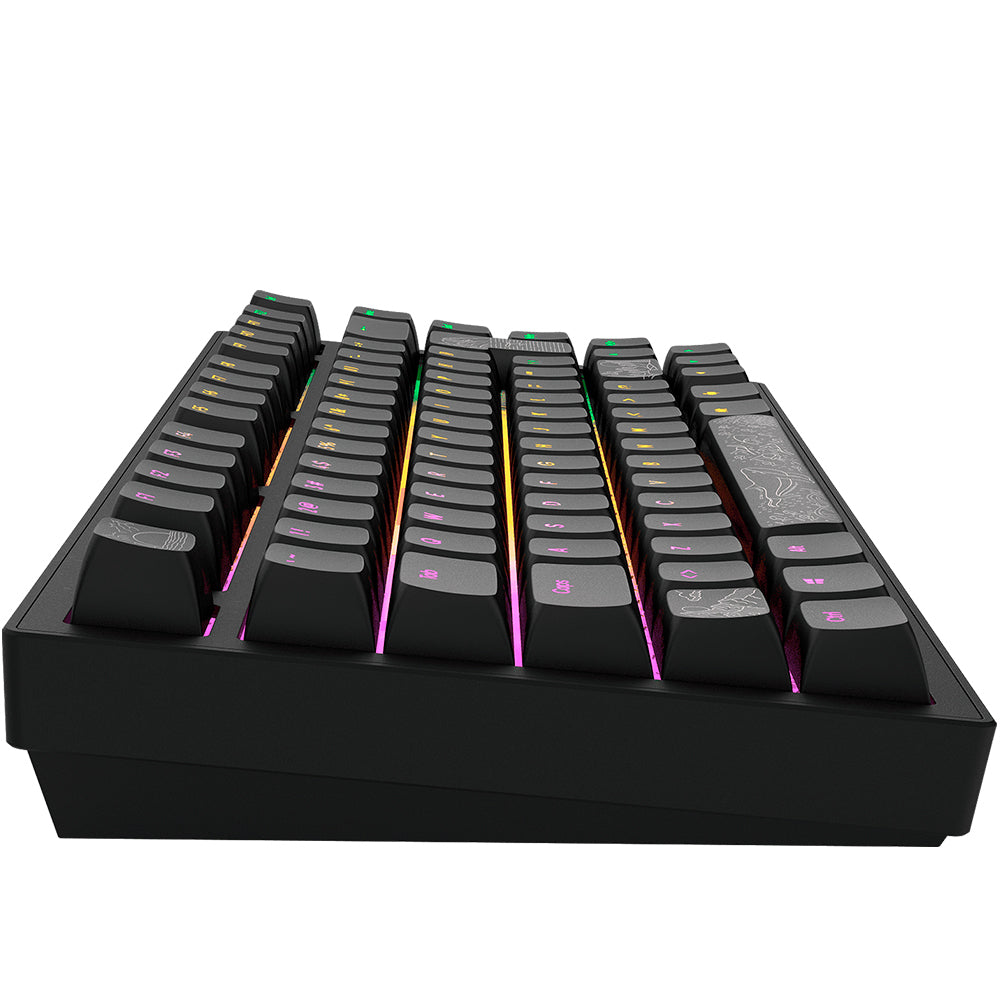 DARK PROJECT Terra Nostra Bk - billede 4