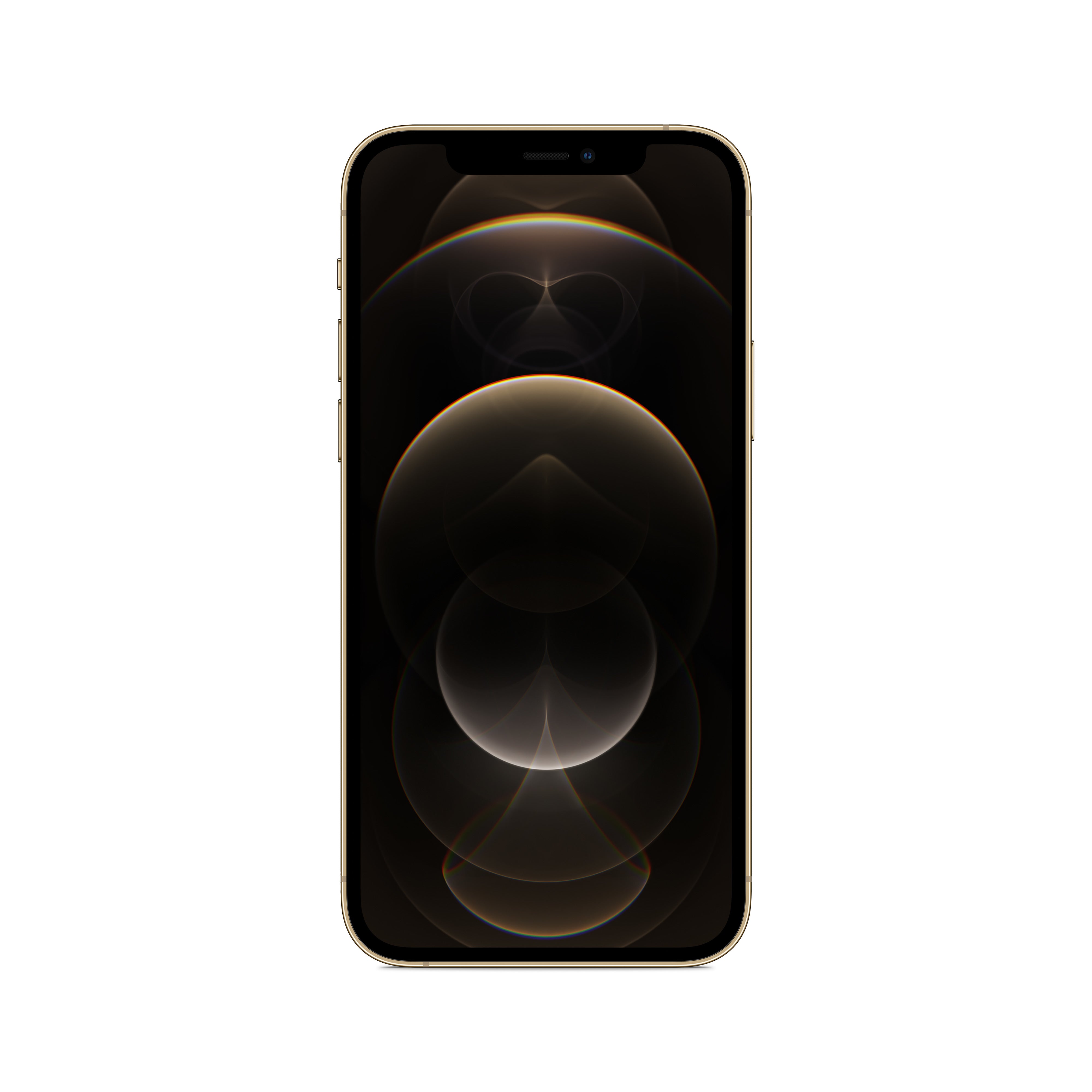 iPhone12Pro 256GB Gold Gr.A