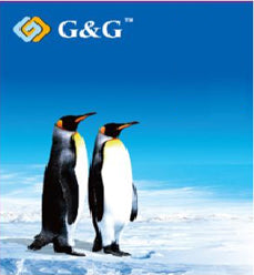 G&G Sampak Epson 33XL