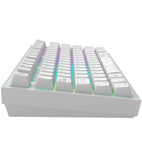 DARK PROJECT Terra Nova White