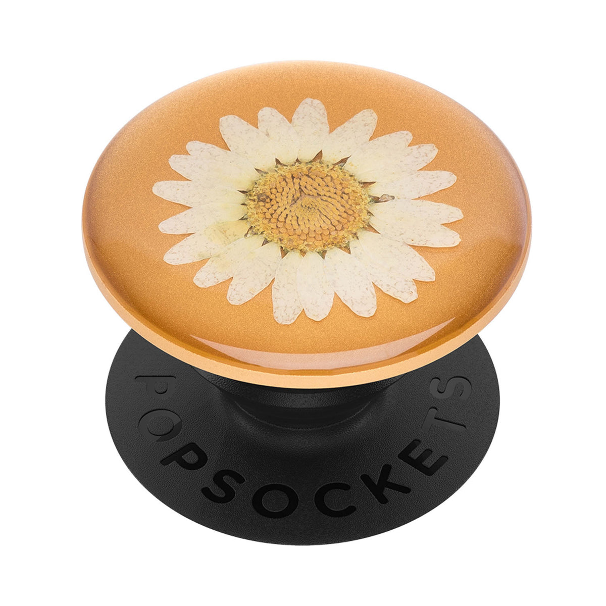 POPSOCKETS Pressed Flower White Daisy Aftageligt Greb m. Standerfunktion Premium