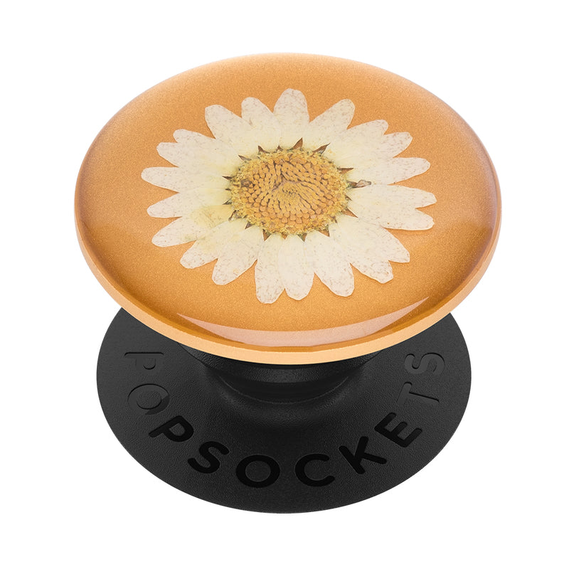 POPSOCKETS Pressed Flower White Daisy Aftageligt Greb m. Standerfunktion Premium - billede 2