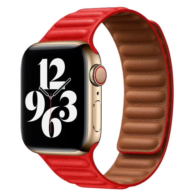 SZWBP-31 watchband red 06