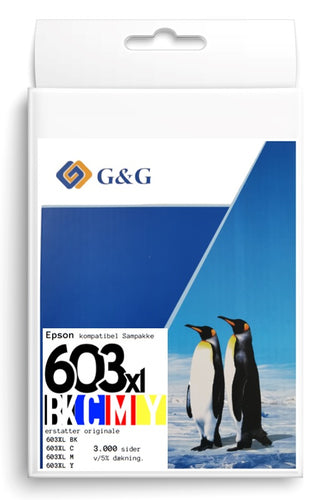 Epson G&G 603XL Sampak