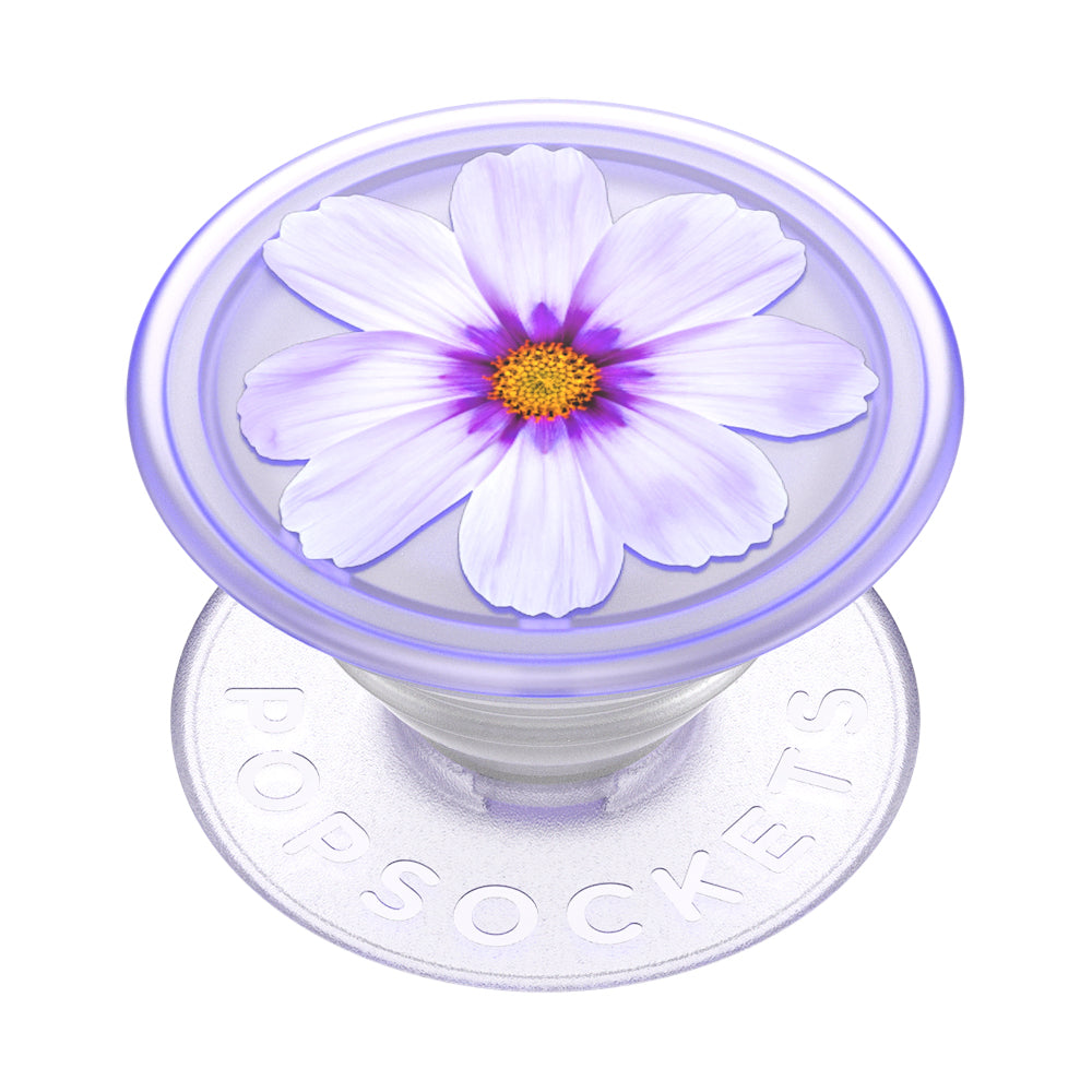 PopGrip Plant Purple Cosmo