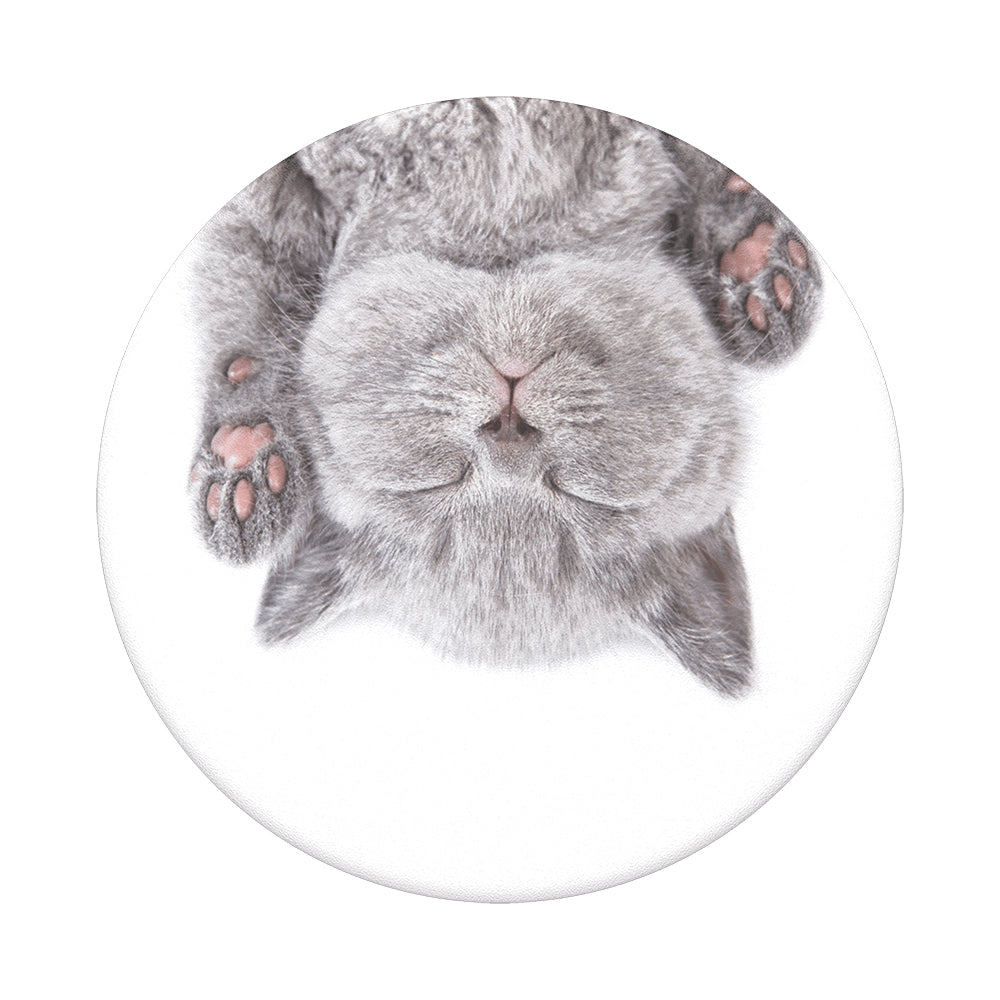 POPSOCKETS Cat Nap