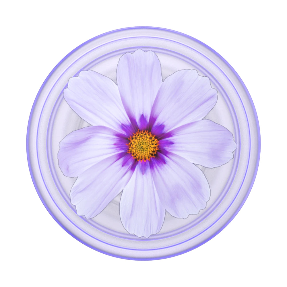 PopGrip Plant Purple Cosmo - billede 2