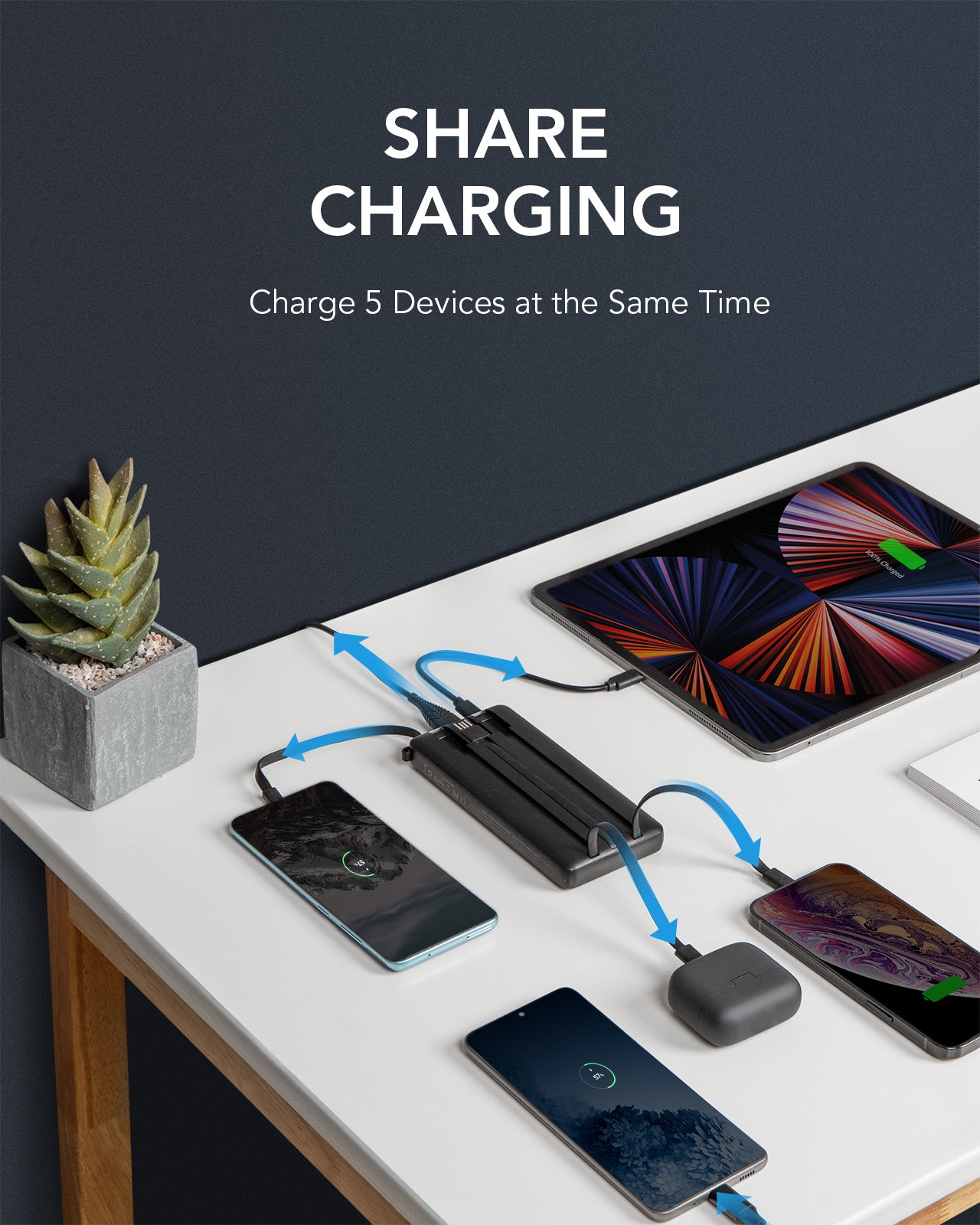 C20 20000mAh Powerbank m/US