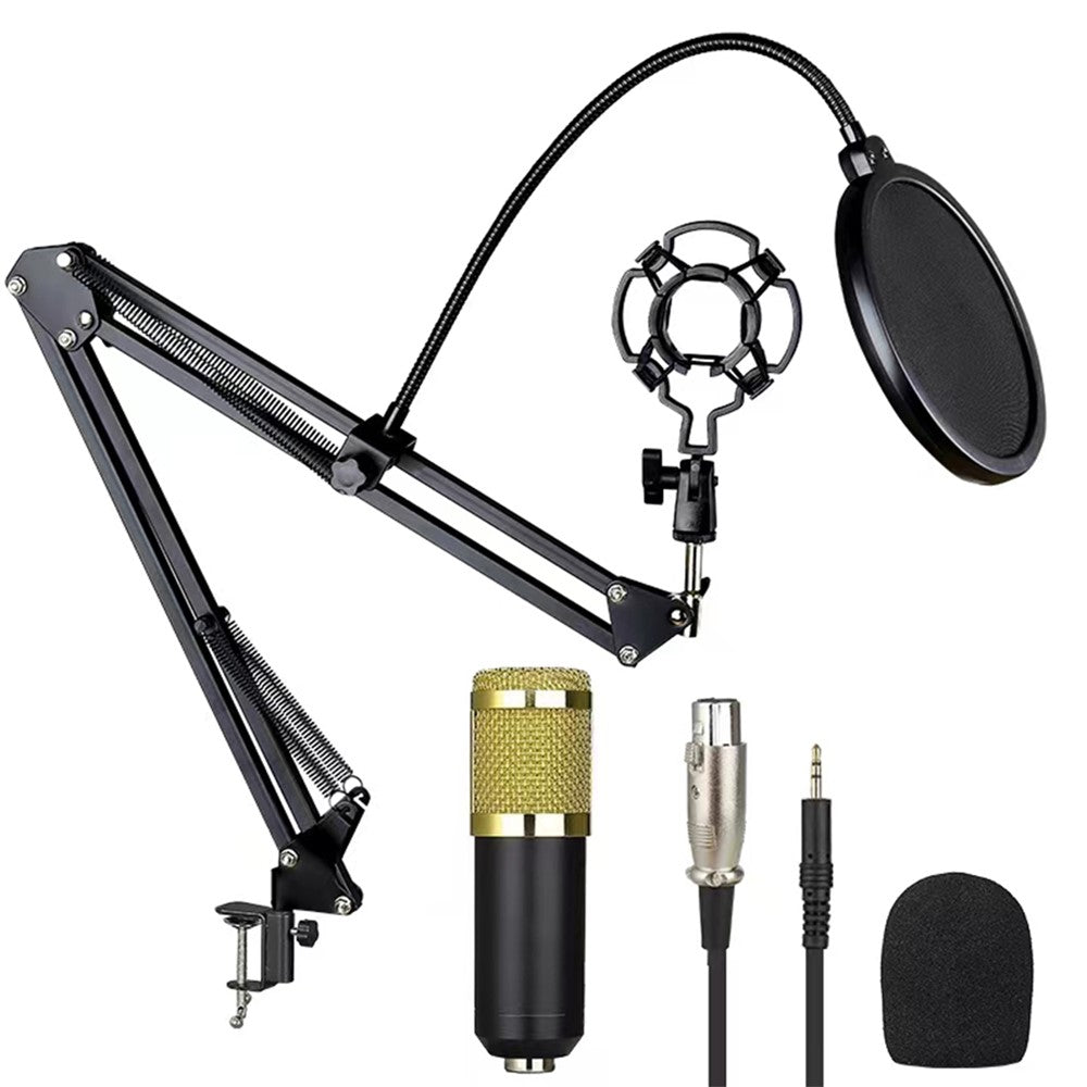 Studio Live Streaming Broadcasting Recording Condenser Microphone Stand Kit