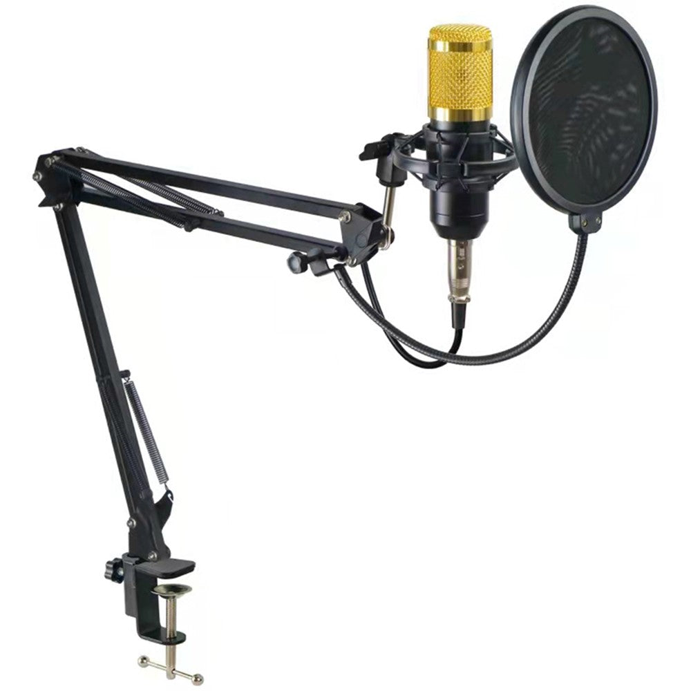 Studio Live Streaming Broadcasting Recording Condenser Microphone Stand Kit