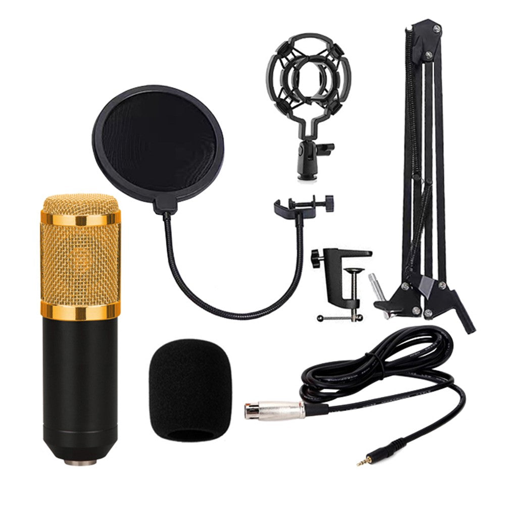 Studio Live Streaming Broadcasting Recording Condenser Microphone Stand Kit