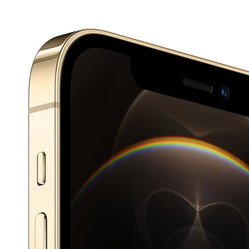 iPhone12Pro 256GB Gold Gr.A