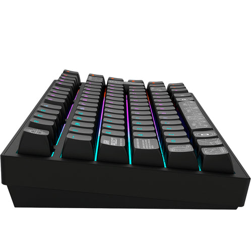 DARK PROJECT Terra Nova Black