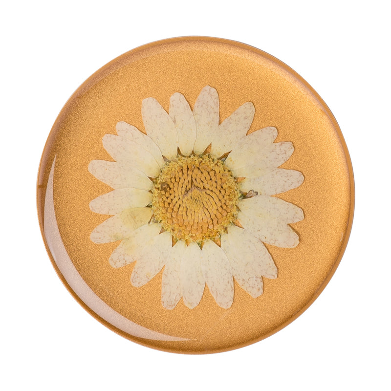 POPSOCKETS Pressed Flower White Daisy Aftageligt Greb m. Standerfunktion Premium