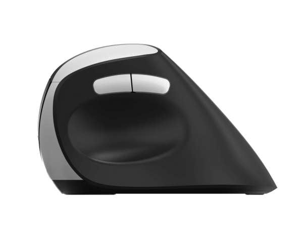 Mouse EV250 opt. Sort