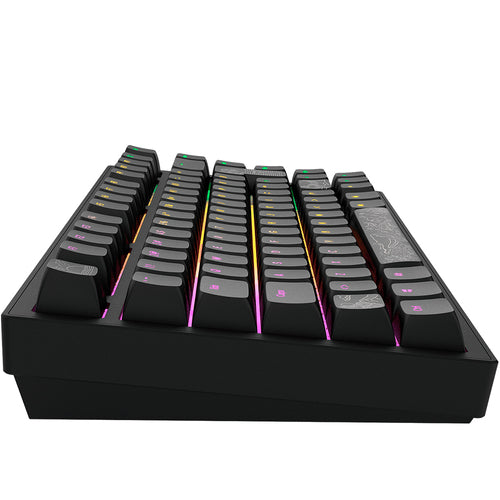 DARK PROJECT Terra Nostra Bk