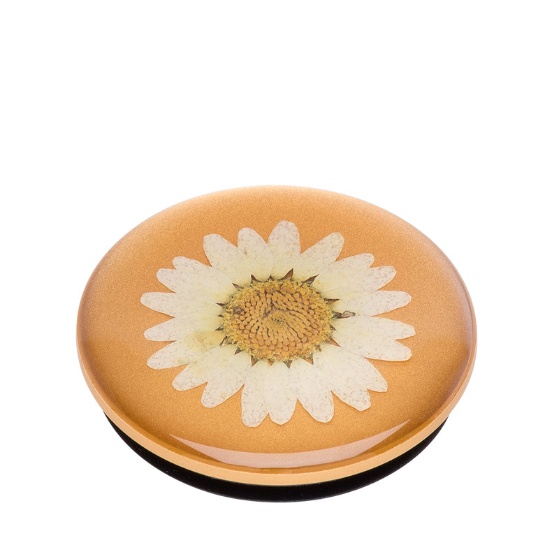 POPSOCKETS Pressed Flower White Daisy Aftageligt Greb m. Standerfunktion Premium - billede 4