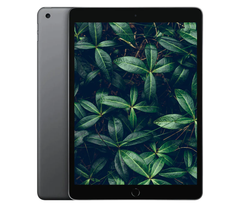 Apple iPad 7 32GB WiFi (Space Gray) - 2019 - Grade B